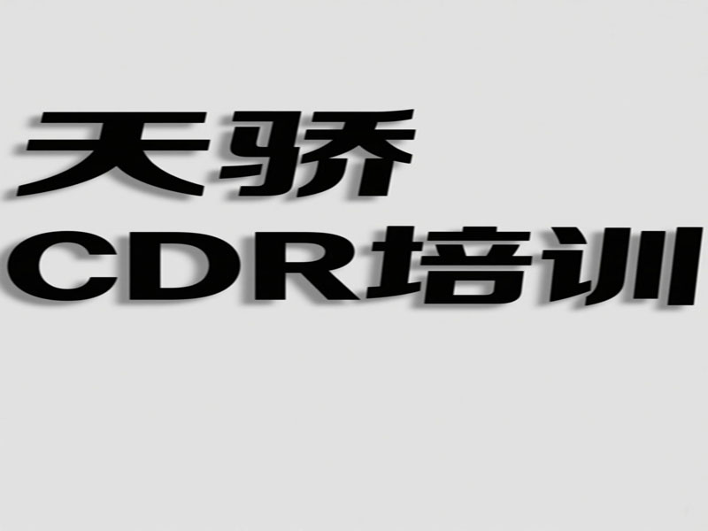 东莞万江天骄平面CDR培训
